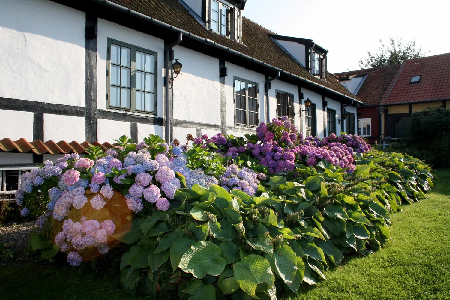 Allinge Badehotel garden terrace sea view